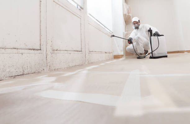 24/7 Emergency Mold Removal experts in Springfield, OR